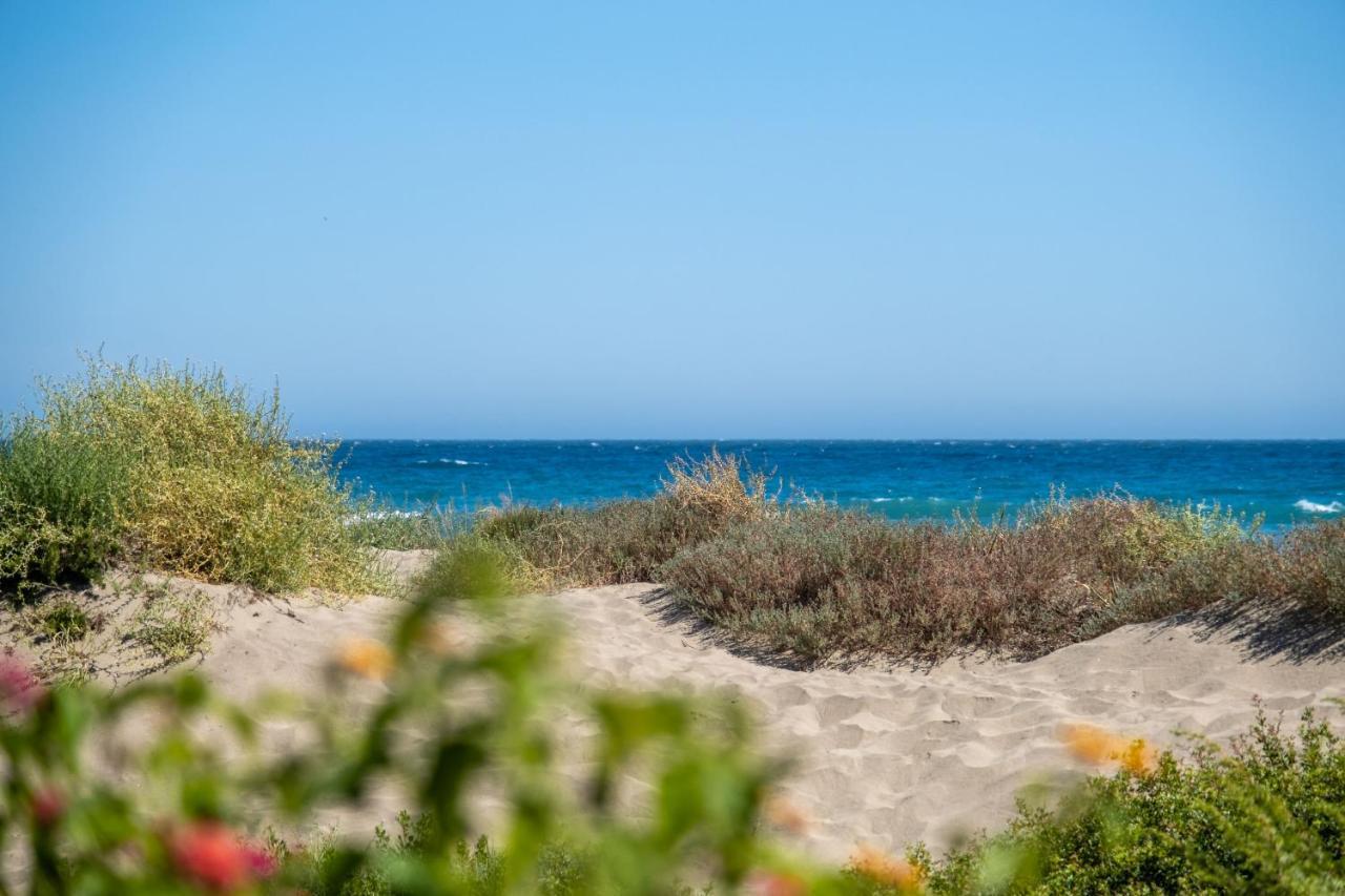 Queen - Romana Playa Appartamento